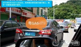 交警抓车爆料视频大全最新